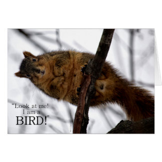 I'm a BIRD! Cards