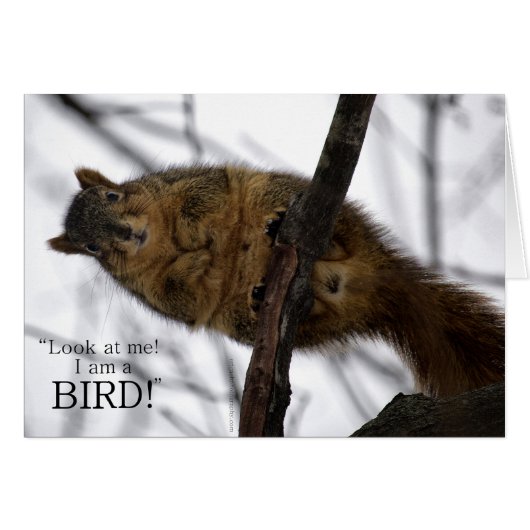 I'm a BIRD! Cards (Front Horizontal)
