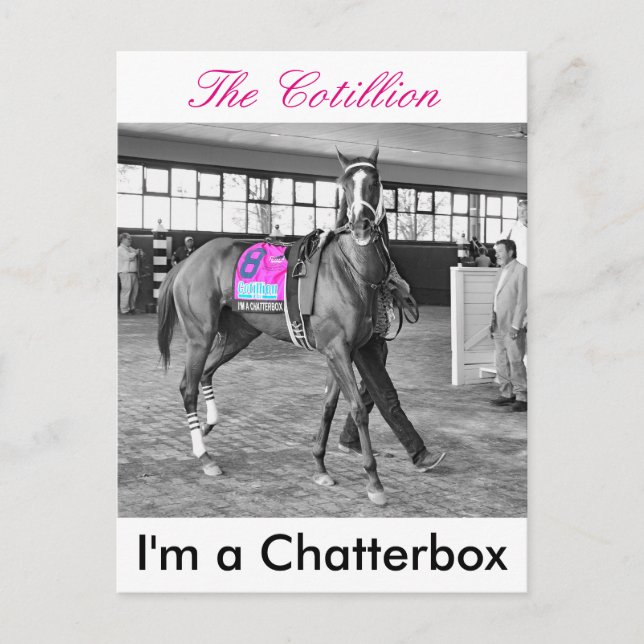 I'm a Chatterbox Postcard (Front)