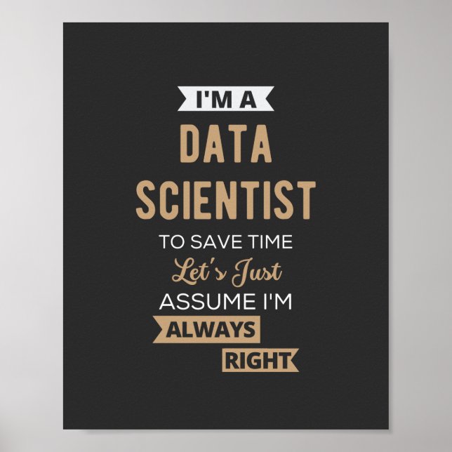 I'm A Data Scientist, To Save Time Let's Just Poster (Front)