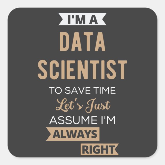 I'm A Data Scientist, To Save Time Let's Just Square Sticker (Front)