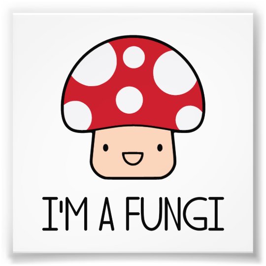 im_a_fungi_fun_guy_mushroom_photo_print-r93cf197b8a9f462f98119e492cb4c26f_a0ib_8byvr_540.jpg