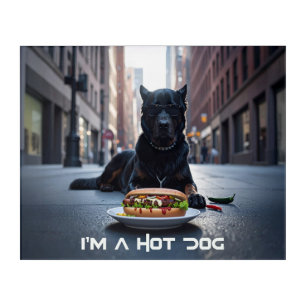 I'M A HOT DOG - CHILI DOG - ACRYLIC PRINT
