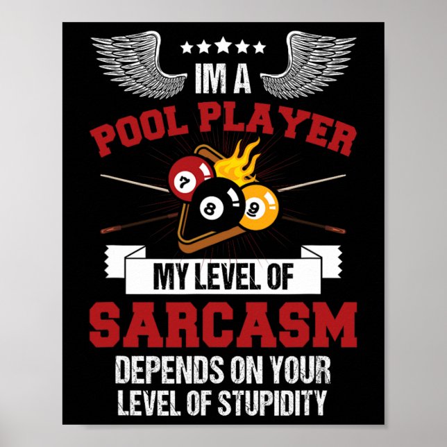Im A Pool Player Funny Sarcasm Billiard And Snooke Poster (Front)