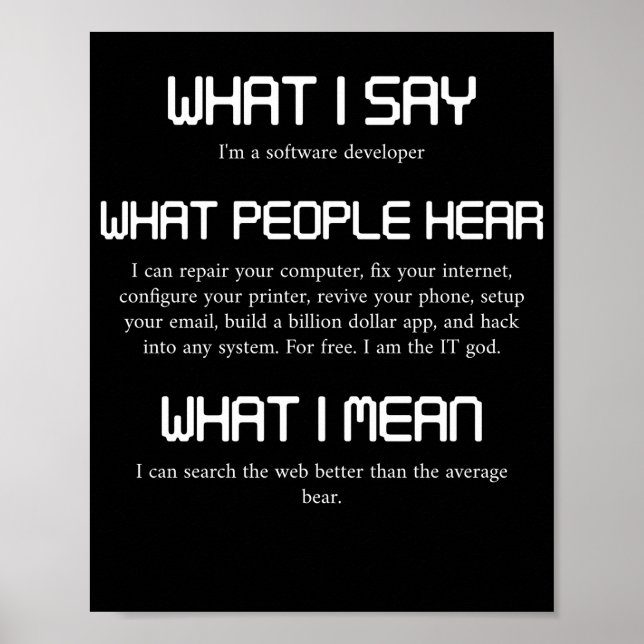 I'm A Software Developer Funny Programming Poster (Front)