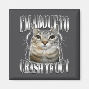 I'm About To Crash Out Funny Staring Cat Brainrot  Magnet