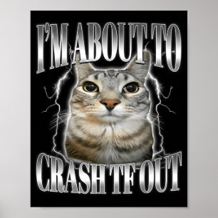 I'm About To Crash Out Funny Staring Cat Brainrot  Poster