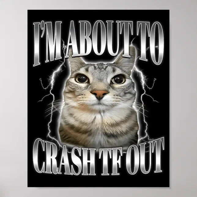 I'm About To Crash Out Funny Staring Cat Brainrot Poster | Zazzle