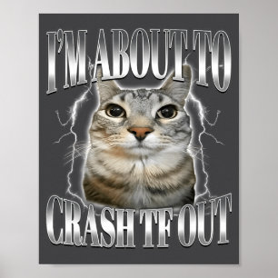 I'm About To Crash Out Funny Staring Cat Brainrot  Poster