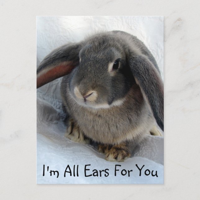 I'm All Ears For You Postcard (Front)