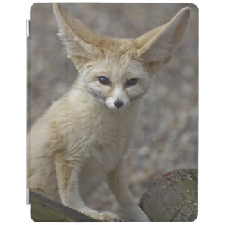 I'm All Ears iPad Cover (All Sizes)