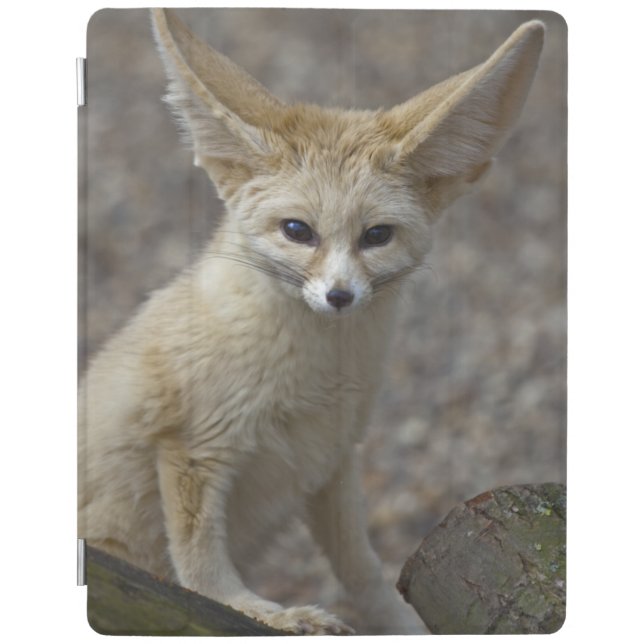 I'm All Ears iPad Cover (All Sizes) (Front)