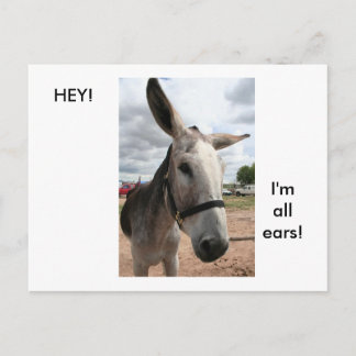 I'm All Ears Postcard