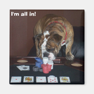 I'm all in! magnet