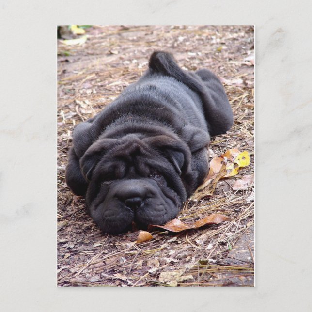 I'm all played out ! postcard (Front)