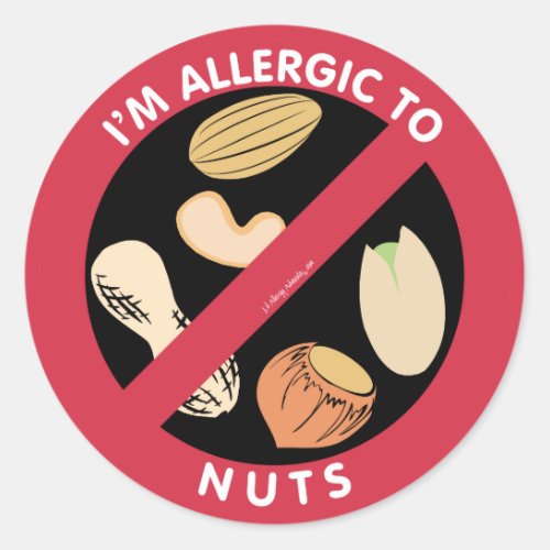 Im Allergic To Nuts Food Allergy Symbol Kids Classic Round Sticker