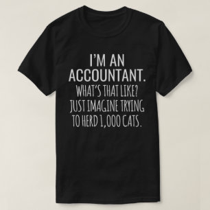 I'M An Accountant What's That Like  T-Shirt