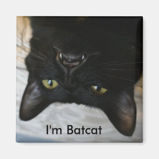 I'm Batcat magnet