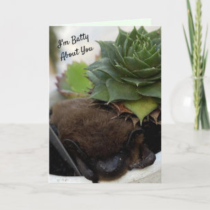 I'm Batty About You - Valentine's Day Card