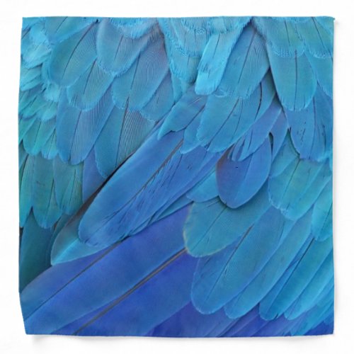 Im blue _ Macaw feathers Bandana