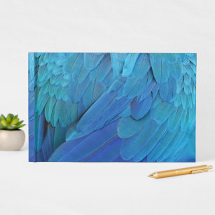 I'm blue - Macaw feathers Guest Book