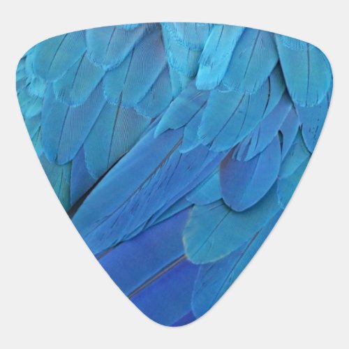 Im blue _ Macaw feathers Guitar Pick