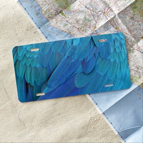 Im blue _ Macaw feathers License Plate