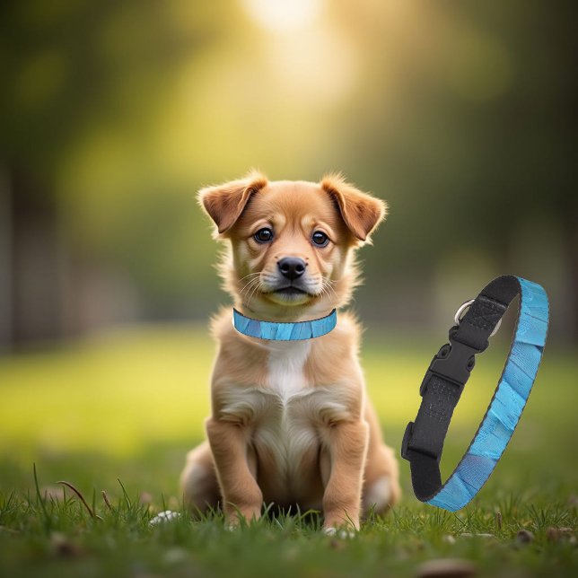 I'm blue - Macaw feathers Pet Collar (Creator Uploaded)