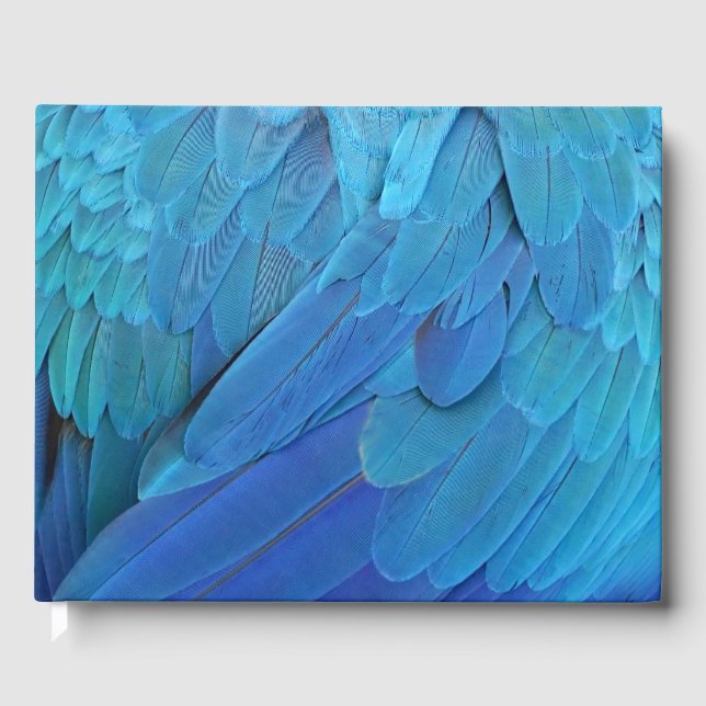 I'm blue - parrot feathers close up  guest book (Front)