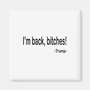 I'm Ck Es Funny Trump 2024 Sarcastic Saying Quotes Magnet