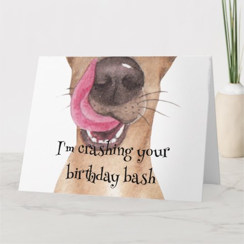  Im Crashing Your Birthday Bash  Card