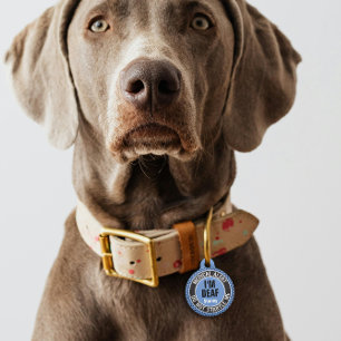 Deaf dog collar tag shop