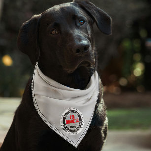 I'm Diabetic Pet Medical Alert Custom Name Gray Bandana