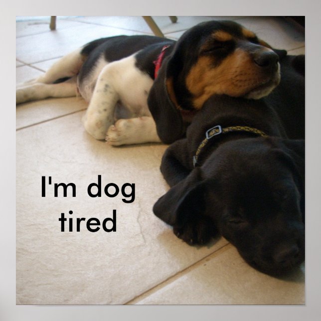 I'm dog  tired poster (Front)