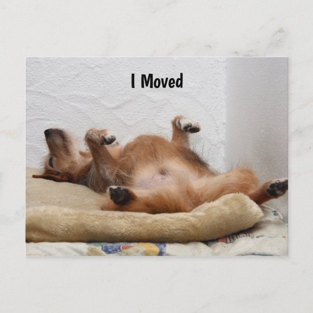 I'm Exhausted! Postcard (Front)