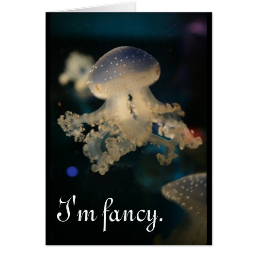 I'm fancy cards (Front)