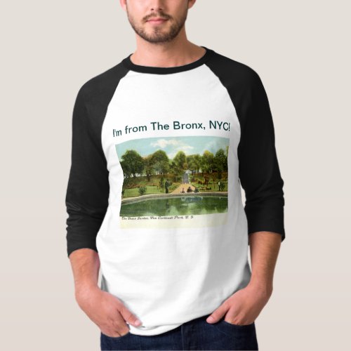 Im from The Bronx New York Vintage T_Shirt
