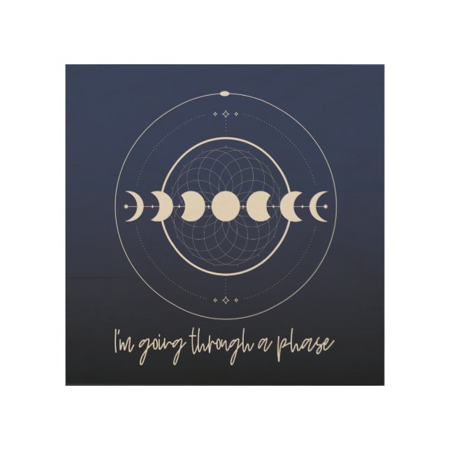 I'm Going Through a Phase (Moon) Wood Wall Art (Front)