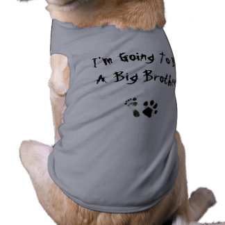 Im going to be a big brother - T-Shirt
