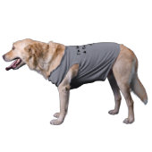 Im going to be a big brother - T-Shirt (Side)