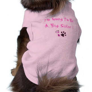 I'm Going To Be A Big Sister ! Tee