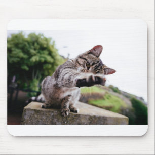 I'm gonna catch You: Funny Cat Mouse Pad