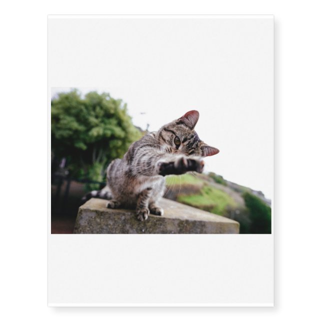 I'm gonna catch You: Funny Cat Temporary Tattoos (Front)