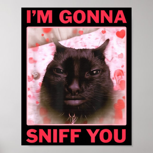 I'm Gonna Sniff You Funny Raunchy Brainrot Meme Ge Poster (Front)