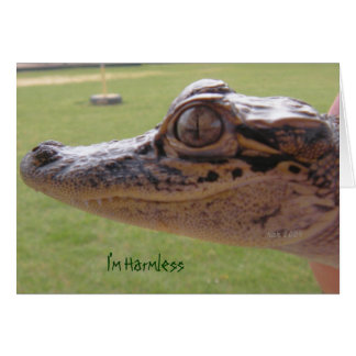 I'm Harmless Cards