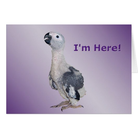 I'm Here Cards (Front Horizontal)
