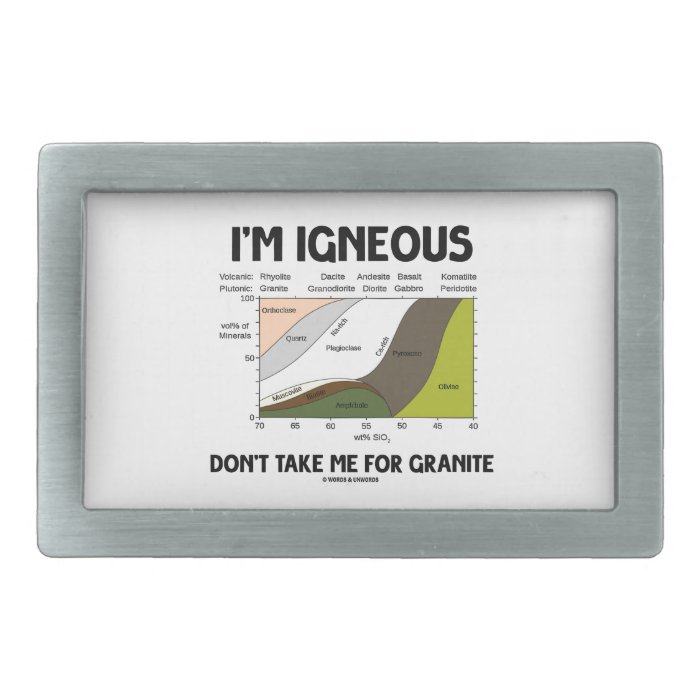 I'm Igneous Don't Take Me For Granite (Granted) Rectangular Belt Buckle