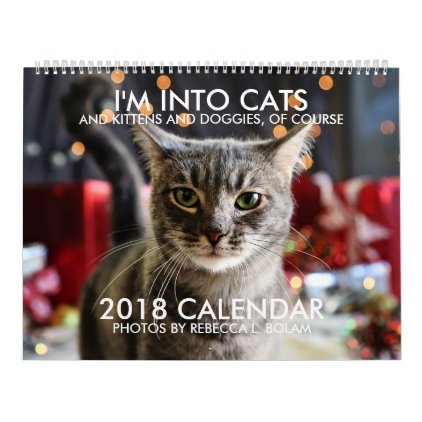 I&#39;M INTO CATS 2018 CALENDAR By Rebecca L. Bolam