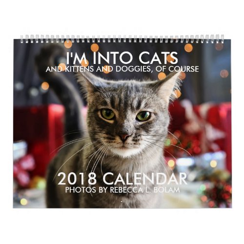 IM INTO CATS 2018 CALENDAR By Rebecca L Bolam