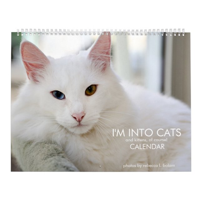 I'm Into Cats and Kittens of Course 2020 Calendar (Cover)